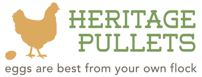Heritage Pullets